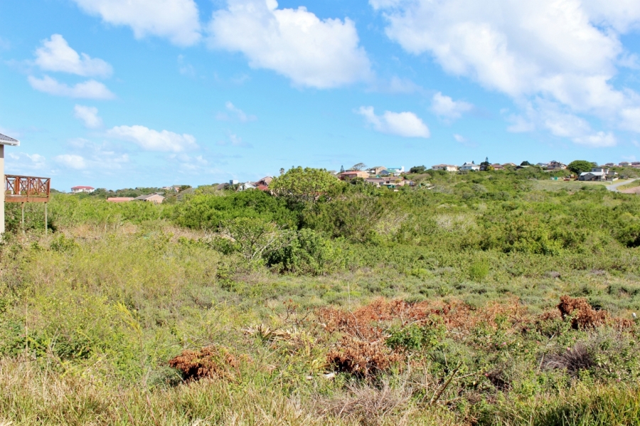0 Bedroom Property for Sale in Forest Downs Eastern Cape
